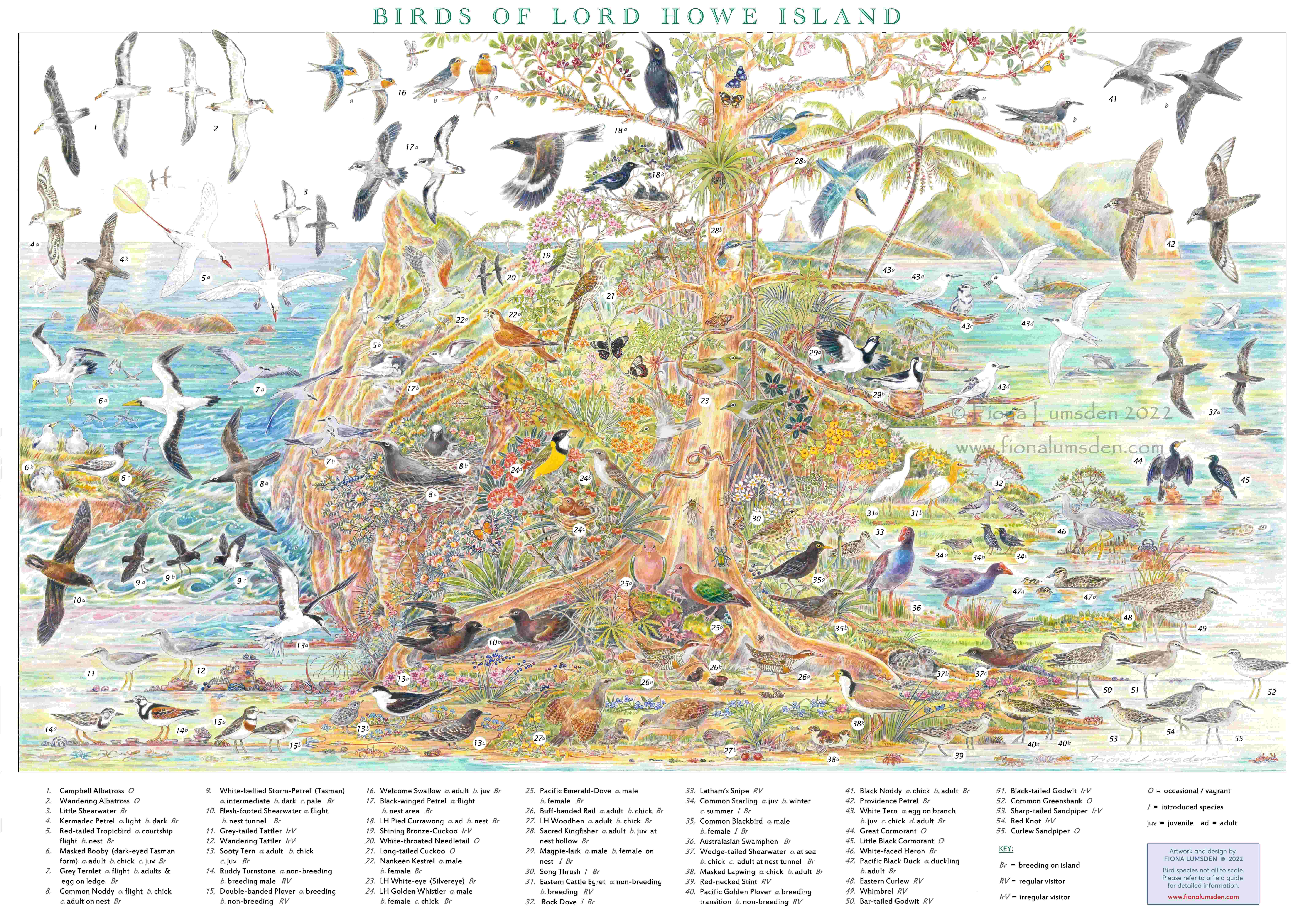 Birds of Lord Howe Island poster WM 1mb